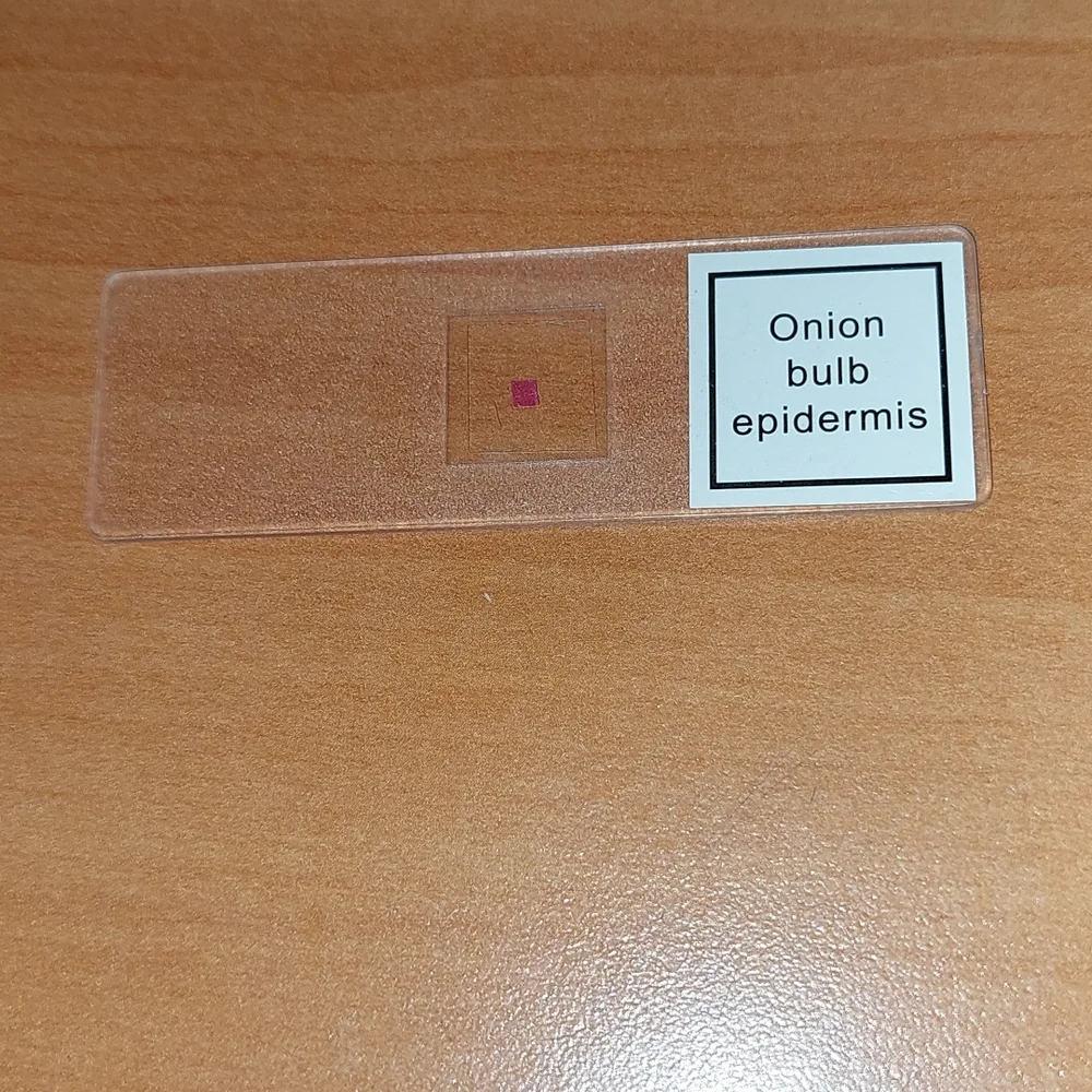 Kids Light up microscope with one slide. Light works. Made of metal! Like new! - Picture 5 of 9